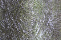 Corpach fibreglass roof work